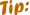Tip