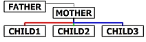 Person_Box_Connections_2.jpg