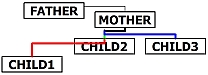 Person_Box_Connections_3.jpg